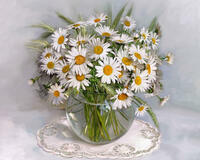 Без бренда «2KMA-0021» в Иваново