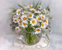 Без бренда «2KMA-0021» в Иваново