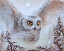 Без бренда «2KMB-3848» в Иваново