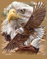 Без бренда «2KMB-4315» в Иваново