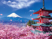 Без бренда «2KSB-7277» в Иваново