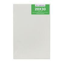 Без бренда «Коробка 80 шт.: Холст Две картинки на подрамнике 20X30» в Иваново