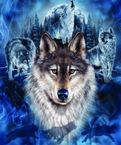 Без бренда «BOX40-2KXSB-0687» в Иваново