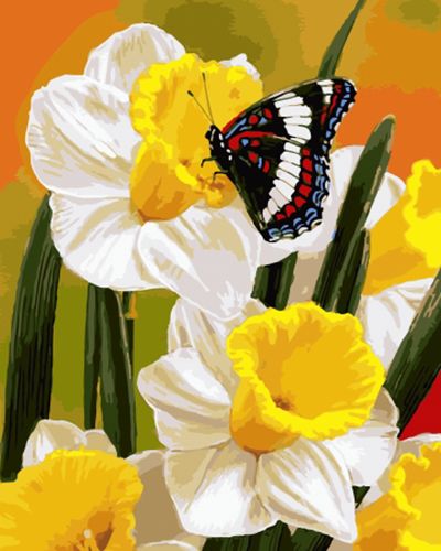 Картина по номерам 40x50 Бабочка на цветах нарциссов