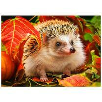 Еж среди осенних листьев