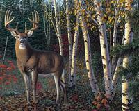 Без бренда «Олень у берез» в Иваново