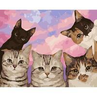 Без бренда «Такие разные котики» в Иваново в интернет-магазине  Без бренда «Такие разные котики» в Иваново