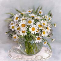 Без бренда «Букет свежих ромашек» в Иваново