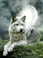 Без бренда «Коробка 25 шт. картин по номерам BOX25-GX21058» в Иваново