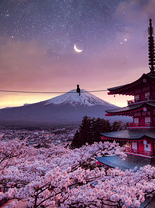 Коробка 25 шт. картин по номерам BOX25-GX33813