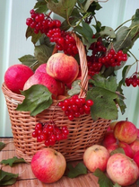 Без бренда «Коробка 25 шт. картин по номерам BOX25-GX5174» в Иваново