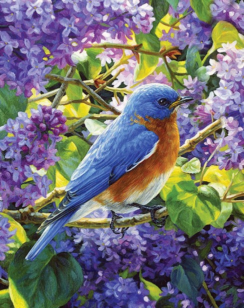 Картина по номерам 40x50 Синяя птица на ветке сирени