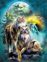Темный лес, луна и волки