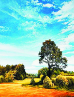 Без бренда «Осенний пейзаж с голубым небом» в Иваново в интернет-магазине  Без бренда «Осенний пейзаж с голубым небом» в Иваново