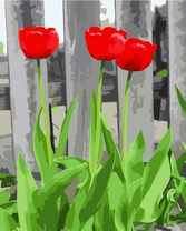 Три красных тюльпана