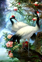 Без бренда «Коробка 25 шт. картин по номерам BOX25-GX29399» в Иваново в интернет-магазине  Без бренда «Коробка 25 шт. картин по номерам BOX25-GX29399» в Иваново