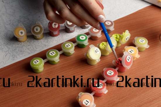 Картина по номерам 40x50 GX24603 Котенок в цветах сакуры за 1050 руб. в интернет-магазине Картина по номерам 40x50 Котенок в цветах сакуры